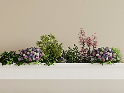 植物组合 现代花池 花坛 花箱 花草 植物堆