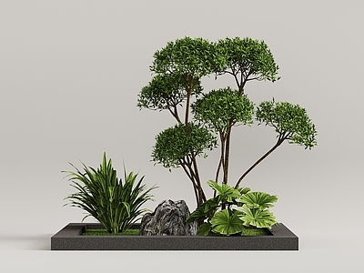 现代其他景观 景观小品 绿植景观 室内景观 景观造景