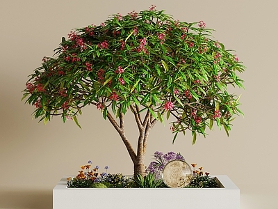 景观树 景观小品 绿植景观 室内景观 景观造景