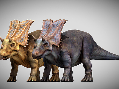 爬行类动物 三角龙 恐龙