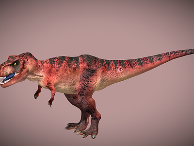 爬行类动物 霸王龙 恐龙