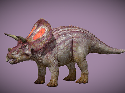 爬行类动物 三角龙 恐龙