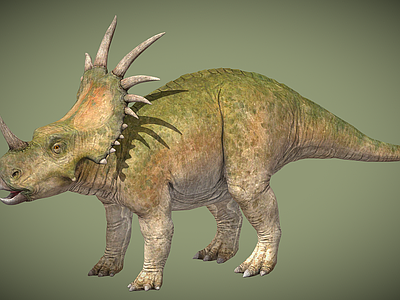 爬行类动物 三角龙 恐龙