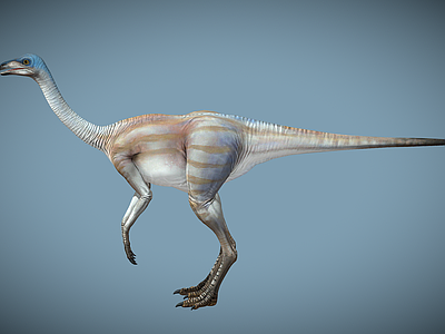 爬行类动物 恐龙