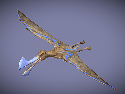 飞行类动物 翼龙 恐龙