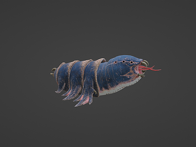 水生类动物 海怪 怪兽 吞食兽