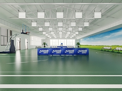 现代简约篮球场 室内篮球场 羽毛球场 球场
