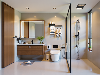 现代卫生间 现代卫生间 干湿分离卫生间