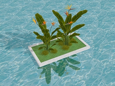 植物组合 芭蕉 绿植组合 盆栽组合