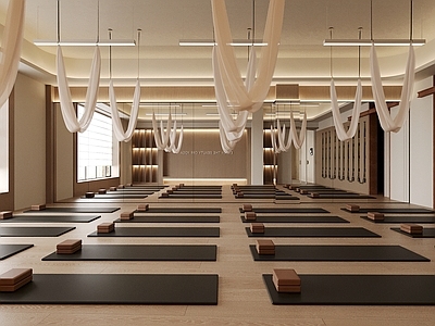 现代原木瑜伽室 瑜伽教室 空中瑜伽 瑜伽多功能室