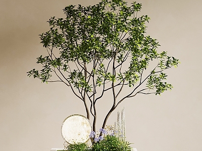 景观树 景观小品 绿植景观 室内景观 景观造景