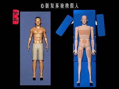 虚拟人物 心脏复苏假人 医学人体模特 急救设备 抢救塑料玩具 人体人物男性