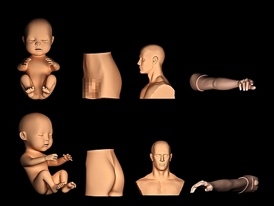 虚拟人物 人体 医学器官模特 人物男性 手臂 婴儿小孩子