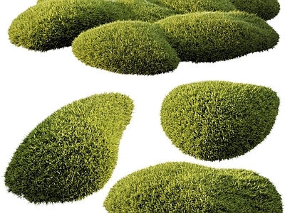 植物组合 绿植堆