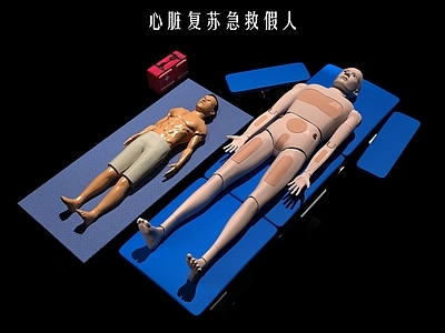虚拟人物 心脏复苏假人 医学人体模特 急救设备 抢救塑料玩具 人体人物男性