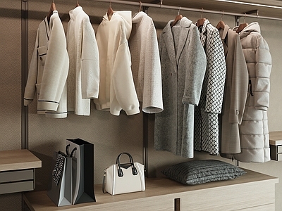 衣服 衣服 女装 手提袋