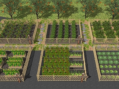 水果蔬菜 水果 蔬菜 果园蔬菜种植基地 农田蔬菜种植