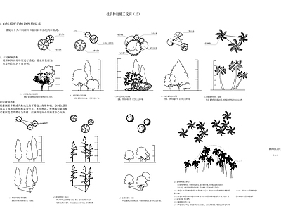 现代设计说明 植物种植说明 绿化设计说明 施工图