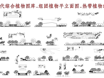现代综合植物图库 综合植物图库 组团植物平面图 热带植物组合 施工图