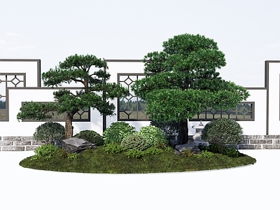 乔木 松树 灌木球 植物组团 石头 乔木