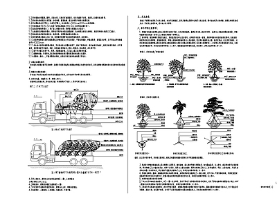 现代设计说明 绿化设计说明 施工图