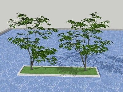 乔木 树池乔木 行道树 乔木 景观树