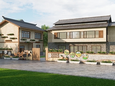 新中式乡村庭院 乡村民居庭院 乡村院落 民宿小院落 民俗文化墙 民宿院落