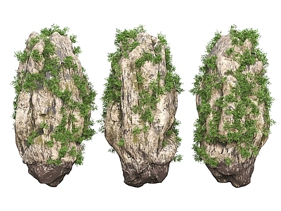 现代石头 石头 岩石 假山 假山石 石灰石 悬崖 藤蔓 浮空石