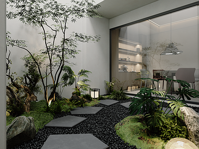 现代茶室 别墅天井 植物