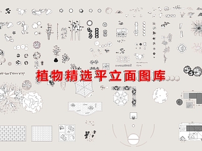 现代综合植物图库 植物 施工图