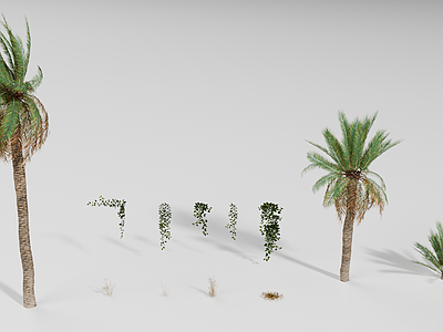 现代植物组合 棕榈树 热带植物 藤蔓 枯草
