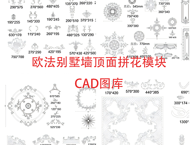 欧式地面拼花 欧法别墅墙顶面 拼花模块 施工图