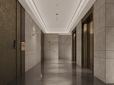 现代电梯间 现代住宅电梯厅