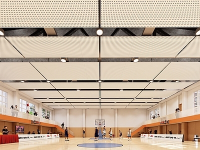 现代篮球场 室内篮球场