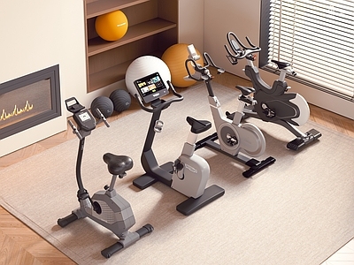 运动器材 动感单车组合 健身器材 瑜伽球
