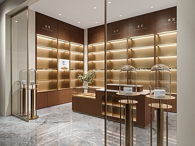 中古新中式药店 虫草 研究 特产 燕窝