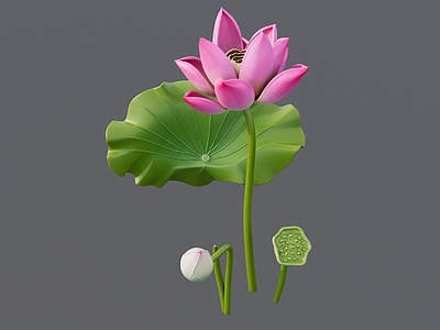 现代其他摆件 荷花荷叶组合