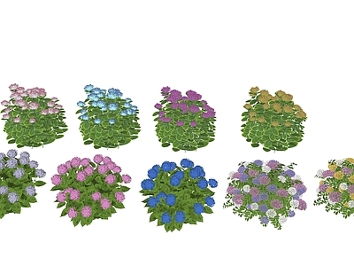 花草 绣球 红绣球 花镜 时花 花草
