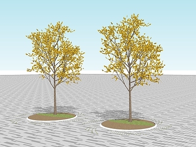 2D乔木 2D景观树 景观树 树池乔木 行道树