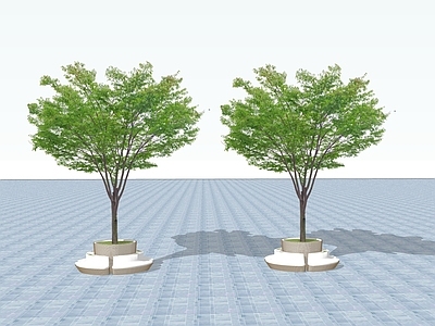 2D乔木 景观树 行道树 树池乔木