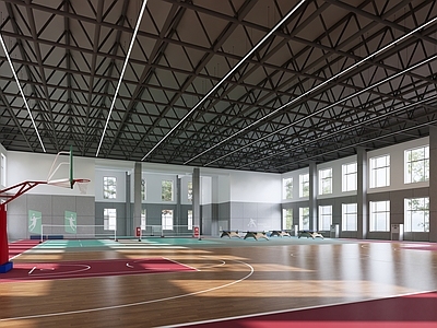 现代篮球场 篮球馆 乒乓球馆