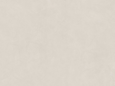 现代侘寂其它涂料 驼色浅咖色肌漆 肌理漆涂料 肌理漆艺术涂料 暖色微水泥艺术漆 暖色艺术漆涂料
