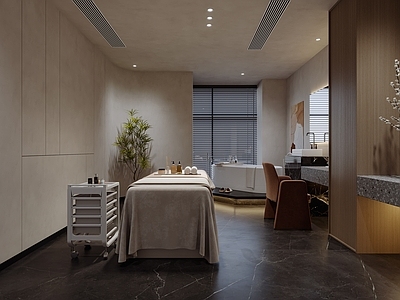 现代其他商业空间 现代美容院 现代SPA 按摩床