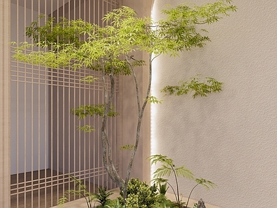 植物组合 盆栽组合 树池植物组合 室内植物造景 植物端景