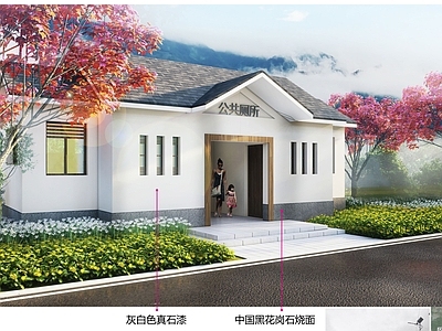 新中式中式公厕 坡屋顶公厕 乡村公 施工图