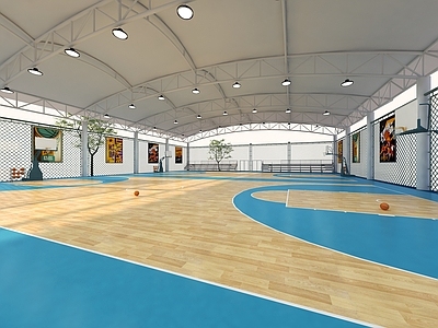 现代篮球场 室内篮球场 现代室内篮球场 篮球场