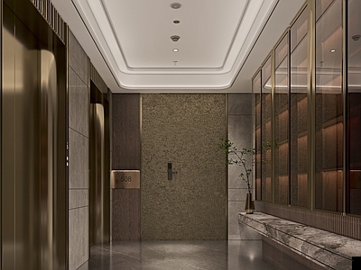 现代电梯间 现代住宅电梯厅