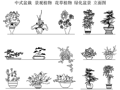 中式新中式绿植 绿植 盆栽 绿化盆景 花草植物 景观植物立面图 施工图