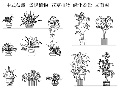 中式复古绿植 盆栽 插花 室内植物 树 中式植物立面图 施工图