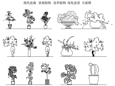 新中式中式绿植 盆栽 绿植 插花 盆栽花卉 花草植物立面图 施工图